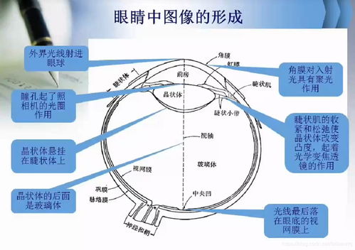 人工智能基础 计算机视觉与图像处理的核心课程